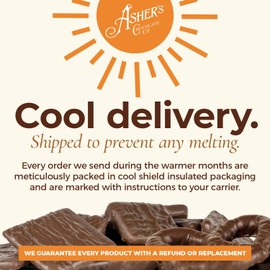 Asher's Chocolates, Chocolate Covered Pretzel Bites, Gourmet Sweet and Salty Candy, Small Batches of Kosher Chocolate, Family Owned Since 1892, (5.57oz, Dark Chocolate)