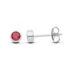 Sterling Silver Garnet Stud Earrings - January Birthstone