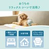 Elleair Pet Kimi Omi Relaxing Wear, Small, 36 Pieces