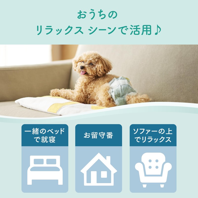 Elleair Pet Kimi Omi Relaxing Wear, Small, 36 Pieces