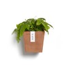 Ecopots Manhattan Small Rectangle Wall Planter - 5.9 in x