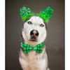 Lionheart Glory St. Patrick's Day Dog Collar - Adjustable Green