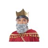 California Costumes Wise Man Gray Beard and Mustache Standard