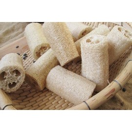 USDA Certified Organic Luffa Gourd Seeds for Sponge, Produce of USA, Non GMO, 5g, ~40 to 50 Seeds