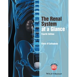 The Renal System at a Glance
