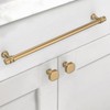 10 Pack 10 Inch(254mm) Champagne Bronze Cabinet Pulls Heavy-Duty Solid
