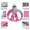 haapaw Dog Harness with Leash Set, No Pull Adjustable Reflective