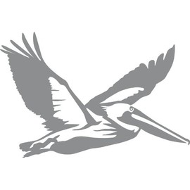 Express Yourself Products Flying Pelican Wall Decal (Med Grey - Facing as Shown - XL) - Bird Collection