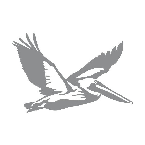 Express Yourself Products Flying Pelican Wall Decal (Med Grey - Facing as Shown - XL) - Bird Collection