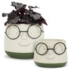 Abbott Collection Mini Face Planter with Glasses - Cement/Metal, Ivory/Green