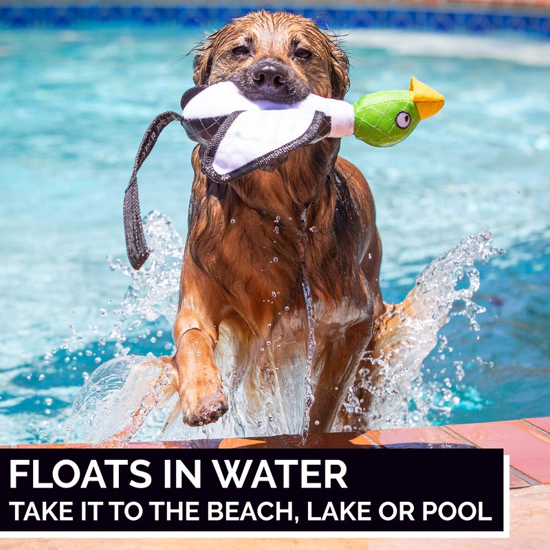 Hyper Pet Flying Duck Toy, Green