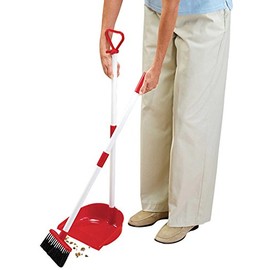 Long Handled Dust Pan with Broom