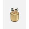 Craighill Match Striker - Decorative Match Holder with Striker, Match