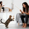 Goosheep 8 Pack Cat Wand Toy Cats Toy (2 Solid