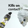 Raid Raid Max Foaming Wasp & Hornet Killer, Fast Coverage