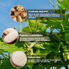 Gesy Esponja Natural Lufa, Exfoliantes Naturales Puras, A
