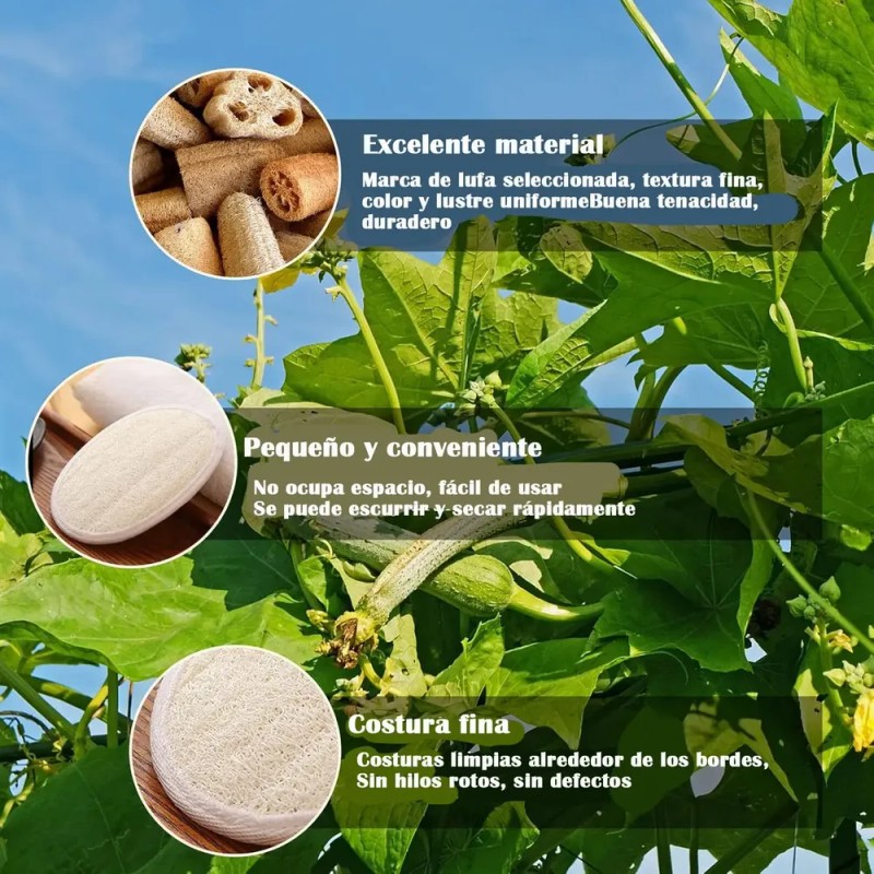 Gesy Esponja Natural Lufa, Exfoliantes Naturales Puras, A