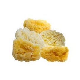 Aphrodite Natural Painting Sponges - Artist Paint Sponges Made of Natural Fibers Harvested in Greece Contaminate Free - [Value Pack #5 | Five Basic Natural Sponges]