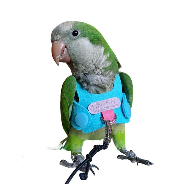 Bird Flight Harness Vest, Parrot Flight Suit with Leash for