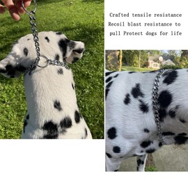 Chain Collar for Small Dogs,Puppy Chain Collar, Adjustable Metal Necklace Martingal Collar for Xs Cat Small Medium Large Big Dog S