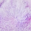 Plush Fuzzy Fluffy Tie Dye Lavender bean bag chair covers