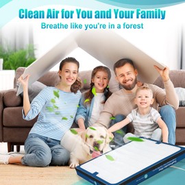 Upgraded Classic 200/300 Series DualProtection Replacement Filter-Compatible with Blueair 200/300 Series Filter Replacement, for 200, 201, 203, 205, 210, 215, 250, 270E,2007E Slim,280i,Filter-2PACK