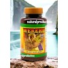 Plantimex Wereke Capsules Wereque 150 Capsulas Support Healthy Glucose By
