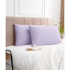 Warmstar Cotton Pillow Cases Queen Size Set of 2, 600