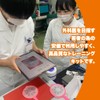 Medical Surgical Training Kit (e-Suture)