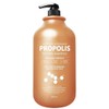 Pedison [Pedison] Propolis Protein Shampoo & Treatment 2000ml - 01.Pedison