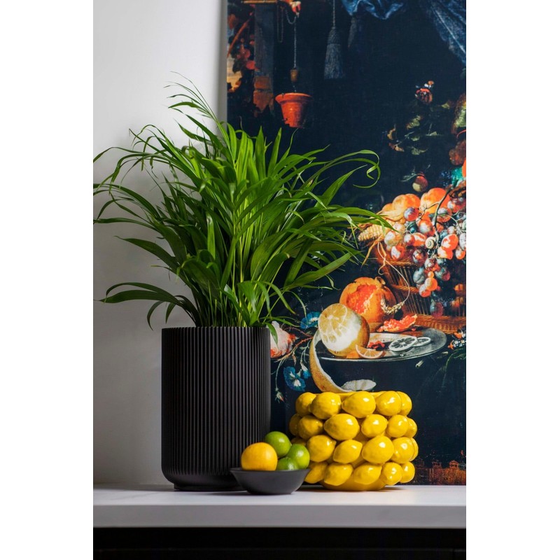 Capi Europe - Pot High Groove Black & Gold -