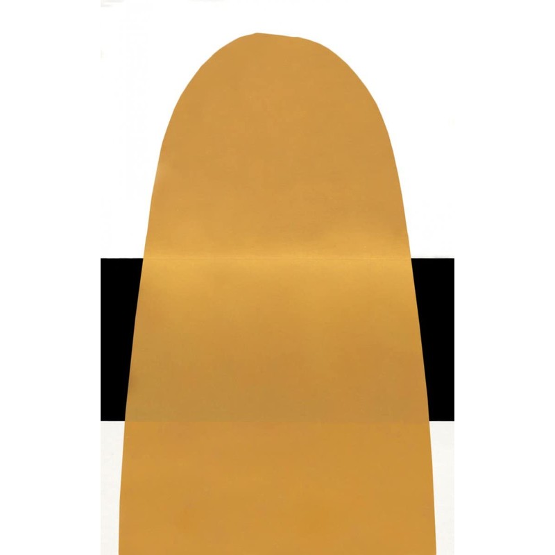 Golden Acrylic Fluid 118ml 2453 イリデッセント ゴールド（ファイン）13114453