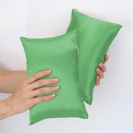 Wuronsa Tiny Pillow, Mini Small Pillow for Travel, Dogs, Cats, Mini Pillows Support for Neck, Wrist, and Knee, Travel Pillow and Small Decorative Pillow(2pcs Light Green Silk)