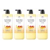 Hepa Bath Natural Really Moist Body Wash Fruity Scent, 900g, 4 Pieces / 해파바스 내추럴 정말 촉촉한 바디워시 프루티 향, 900g, 4개
