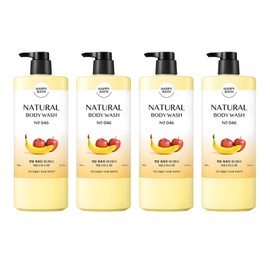 Hepa Bath Natural Really Moist Body Wash Fruity Scent, 900g, 4 Pieces / 해파바스 내추럴 정말 촉촉한 바디워시 프루티 향, 900g, 4개