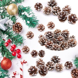 Aicharynic Pine Cones, Pack of 24 Pine Cones as Christmas Decoration, Natural Pine Cones with Cord, Pine Cones Decoration, Cones Decoration Ornaments for Christmas Party Hanging Decoration
