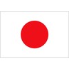 CafePress Japanese Flag Rectangle Sticker Rectangle Bumper Sticker Car Decal