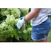 Rostaing margot-it6-8 Glove Child Bird Waterproof Palm + Wrist Leash,