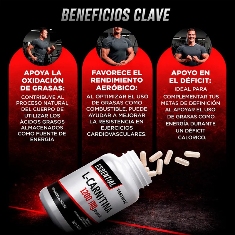 L-carnitina Pura 1200mg | 200 Cápsulas | Testrol Essential Sin