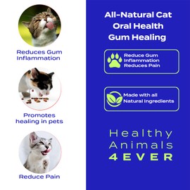 HA4E - Cat Oral Health - Relieves Inflammation, Soothes Pain & Fights Gum Disease - Natural, Non-GMO, Organic, Gluten-Free & Chemical-Free - 300 Tablets