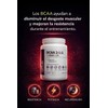 Bcaa 211 Sabor Uva Cont. 500 Gr Recuperación Muscular Uva
