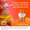 Bio-Kult 3in1 Biotic Blend Probiotic Gummy with Multivitamins, for Adults,