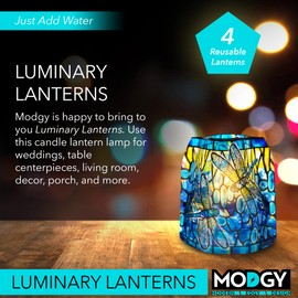 Modgy Luminary Lanterns Dragonfly