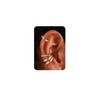 Gold Plated Ear Cuff Earrings for Women Non Piercing -