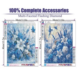 Clendo 2 Packs 5D Diamond Painting Kits for Adult, Birds Flower Diamond Art Kits for Beginners, DIY Full Drill Floral Diamond Dot Gem Art Kits for Home Decor 12 x 16 Inch