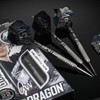 RED DRAGON Darts – Professional Player – Gian van Veen