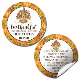 Thankful for Friends Like You Watercolor Thanksgiving Turkey Themed Hot Cocoa Bomb Packaging Sticker Labels, Total of 40 2" Circle Stickers (20 Sets of 2) by AmandaCreation