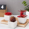 MyGift Assorted Artificial Red Succulent Plants, Mini Fake Desert Plants