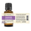 Lavanda - Aceite Esencial Puro 15 ml - Grado Terapéutico