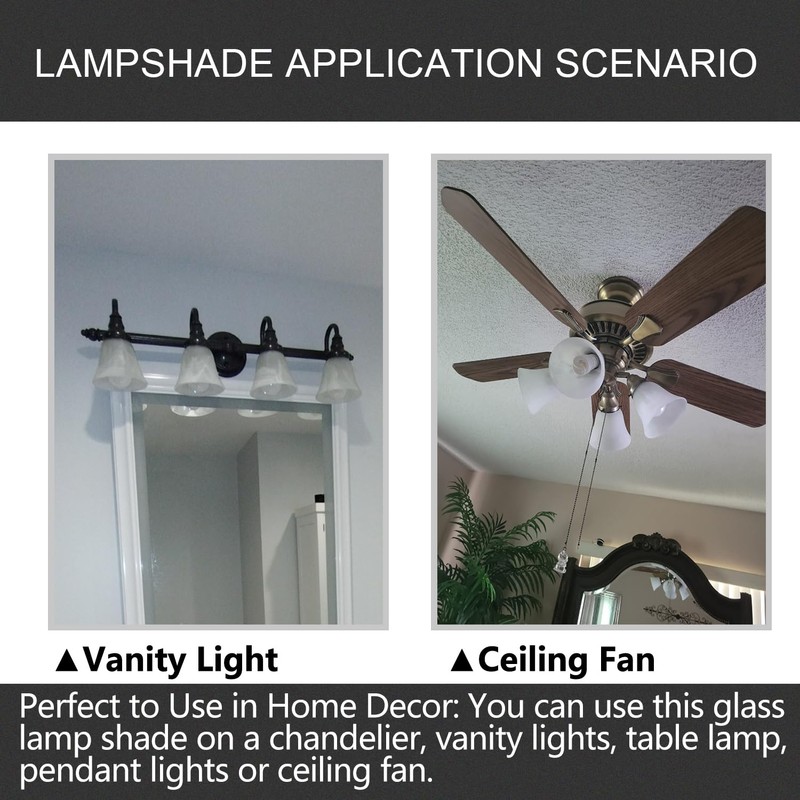 4 Pack Ceiling Fan Light Covers, Transitional Style Replacement Bell